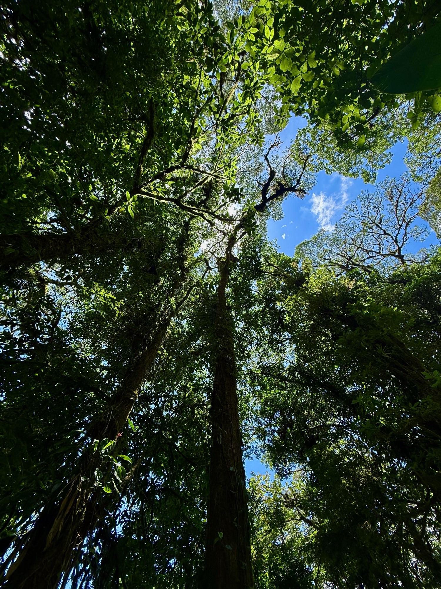 Costa Rica
